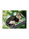 Animal Hamac Pisici