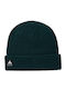 Beanie Beanie Knitted in Green color