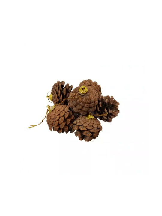 Hanging Hanging Ornament Pine Brown 5x8cm Set 6pcs