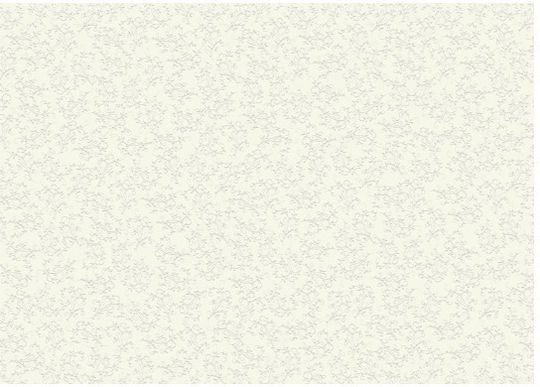 Heyda Χαρτόνι 50x70cm Λευκό Χρυσά Κλαδιά 20-4771857