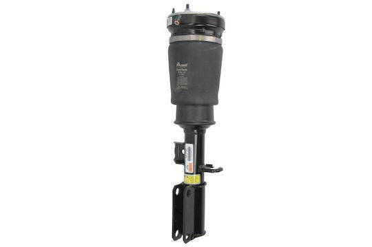Pneumatic Left Air Spring Bracket Bmw X5 E53 3.0-4.8 01.00-10.06 Arnott Europe Length 65cm Width 19cm Height 21cm