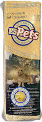 Allspan Ροκανίδια για Κλουβί Τρωκτικών 1kg