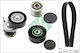 Ina Ribbed Belt Drive Set