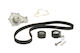 Water Pump Set + Ina Timing Belt