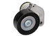 Tensioner Ina Drive Belt