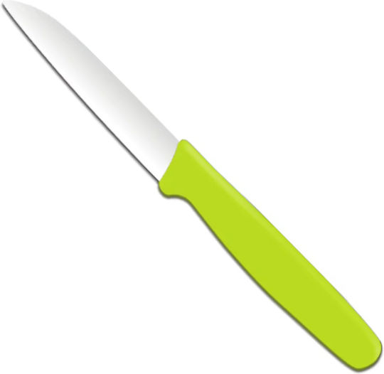 Hendi Messer Obst aus rostfreiem Stahl 18cm