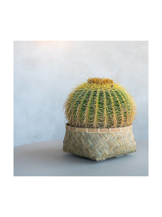 Nala Low Sm Γλάστρα Bamboo Μπεζ Nala Low Sm Γλάστρα Bamboo Μπεζ