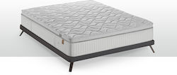 Linea Strom LIN.LFT.171-180 King Size Spumă 180x200cm