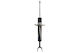Bilstein Shock Absorber