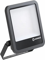 Ledvance LED Flood Light 100W