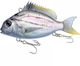Little Jack Charikom Artificial Bait 5cm 6
