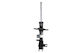 Bilstein Shock Absorber