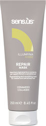 Masca Reparatoare Illumyna Care 250ml de la Sensus pentru Reconstrucția și Hranirea Părului Deteriorat, Fragil și Tratat Chimic