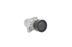 Tensioner Ina Drive Belt