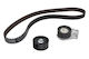 Ina Timing Belt Set