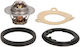 Thermostat Cooling Liquid Vernet
