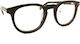 Polar Plastic Eyeglass Frame Gold POLAR GOLD 01 77