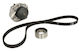 Water Pump Set + Ina Timing Belt