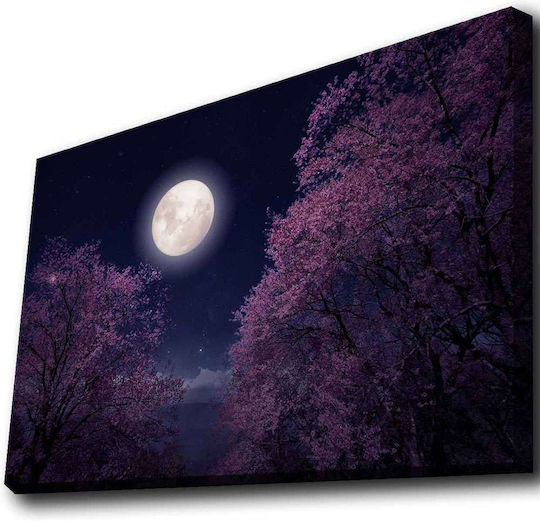 Wallity Πίνακας σε Καμβά με LED Φωτισμό 70x45cm
