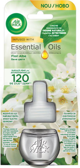 Airwick Nachfüllpack für Steckdosen-Geräte mit Duft Jasmin 100936nc 19ml