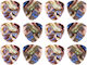 Prodigy Κλασική Abalone Shell Medium 12-pack