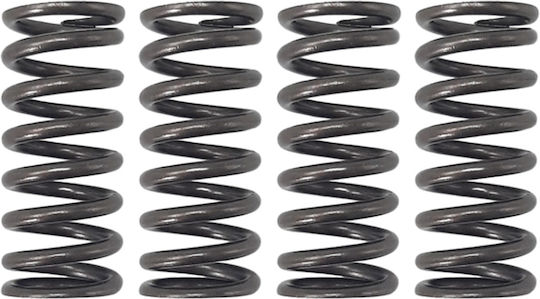W Standard Ελατήρια Συμπλέκτη για Yamaha Crypton