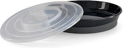 Twistshake Baby and Toddler Feeding Plate