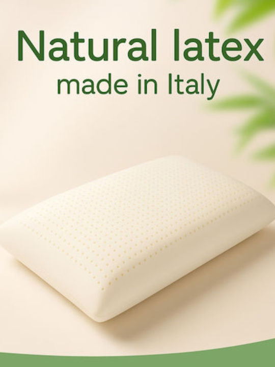 Strom Eco Famous Standard Μαξιλάρι Ύπνου Latex Ανατομικό 42x62x12.5cm