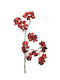 Kleine rote Blumen
