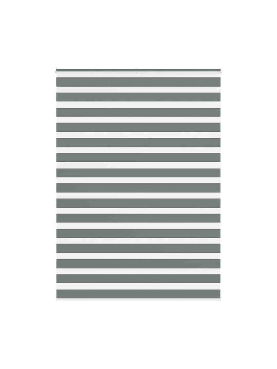 vidaXL Roller Blinds Partial Blackout Gray W160...