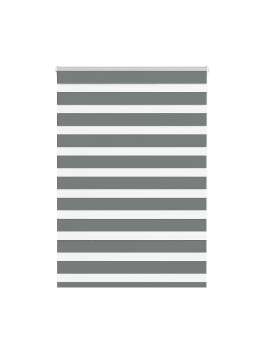 vidaXL Roller Blinds Partial Blackout Gray W115...