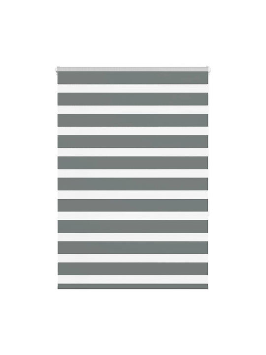 vidaXL Roller Blinds Partial Blackout Gray W100...