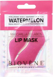 Biovene Gesichtsmasken für Lippen