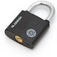 Blossom Padlock Brass with Key 38mm 1pcs