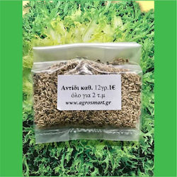 Agrosmart Seeds Endive (Cichorium) 1.0kg