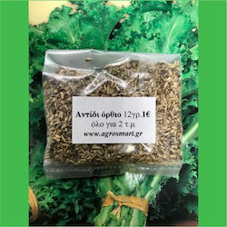 Agrosmart Seeds Endive (Cichorium) 1.0kg