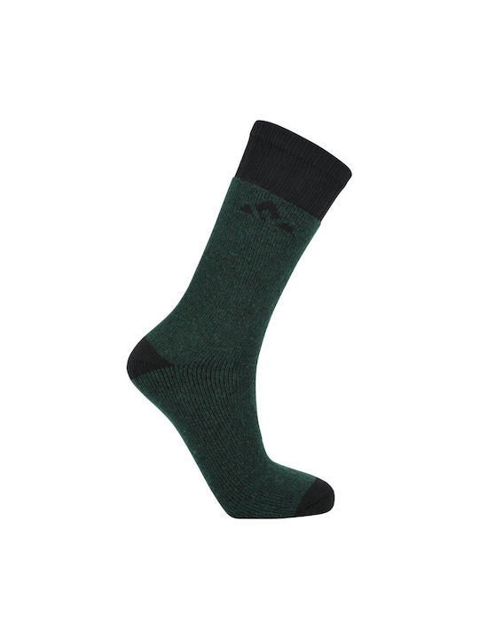 Whistler Socks Green 2Pack