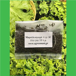 Agrosmart Seeds Lettuce 6gr AGR-MAR020