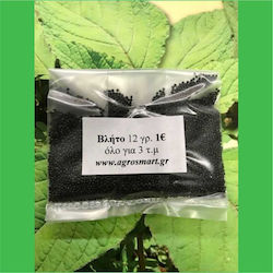 Agrosmart Seeds Amaranthus Blitum 100gr AGR-VLIT0011