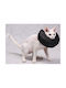 Grande Finale Hundehalsband aus in Schwarz Farbe Mittel 21cm