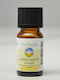 Energy Energizing Synergy Essential Oil 10ml Zen Arome