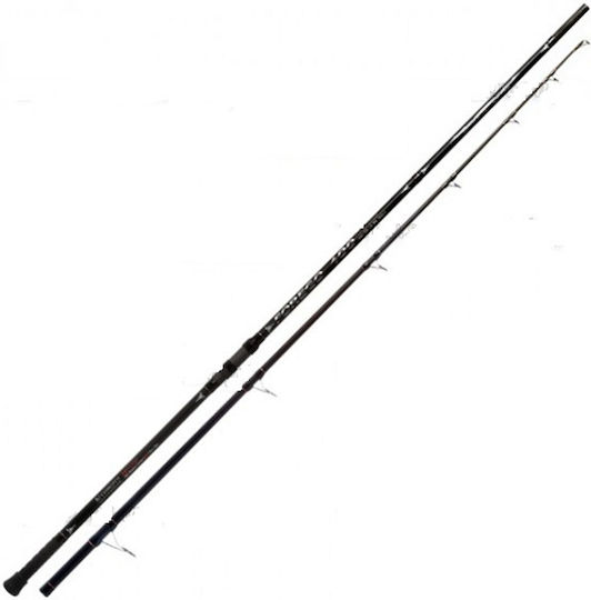 Shimatsu Καλάμι Ψαρέματος για Heavy Casting 4m 250gr
