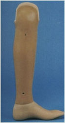 Kifidis Orthopedics Εκπαιδευτικό Πρόπλασμα 1.2.2 Kifidis Orthopedics Εκπαιδευτικό Πρόπλασμα 1.2.2
