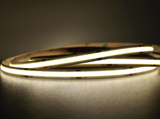 LED Strip 24V Natural White Light 5m Type COB