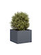 vidaXL Planter Box 40x30cm Charcoal 860796