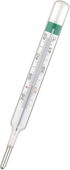 Pruno Gallium Thermometer Silver