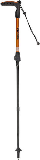 Gabel Wanderstock