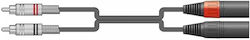 Citronic 2 x XLR male - 2 x RCA male 3m 2R-2XM300