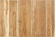 vidaXL Bed Headboard made of Wood in Beige Color
