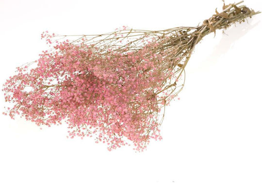 Getrocknete Pflanze Schleierkraut Preserved Pink Fankon Flowers